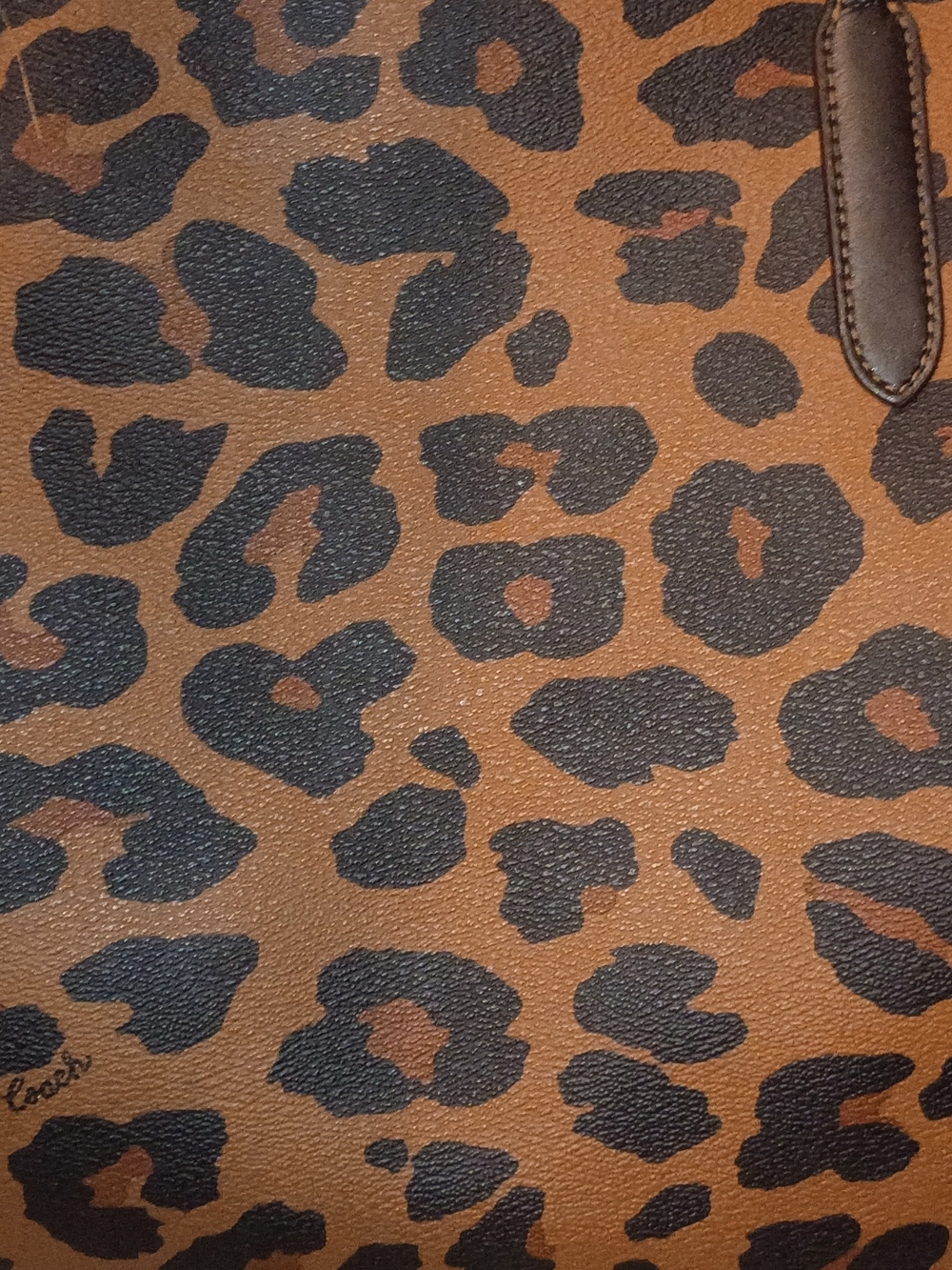 Large Coach City Tote Bag Not Available Retail Leopard Print Great Condition - Picture 6 of 16